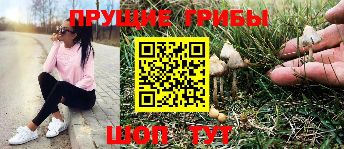 Мурманск  Псилоцибиновые грибы Cubensis  где купить наркотик  Галлюциногенные грибы Cubensis  Вход с VPN 
